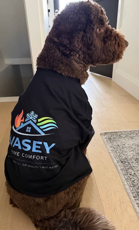 Vasey Home Comfort photo 3